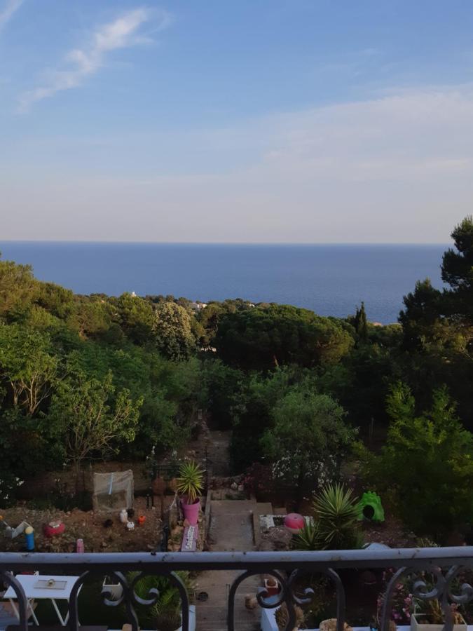 Haut De Villa Au Mont St Clair Vue Exceptionnelle Mer Et Foret Terrasses, Piscine, Petanque, Solarium Prives Сет Екстериор снимка