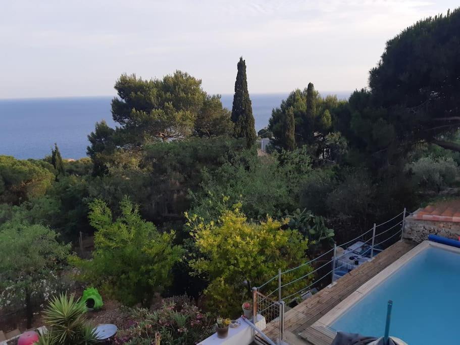 Haut De Villa Au Mont St Clair Vue Exceptionnelle Mer Et Foret Terrasses, Piscine, Petanque, Solarium Prives Сет Екстериор снимка
