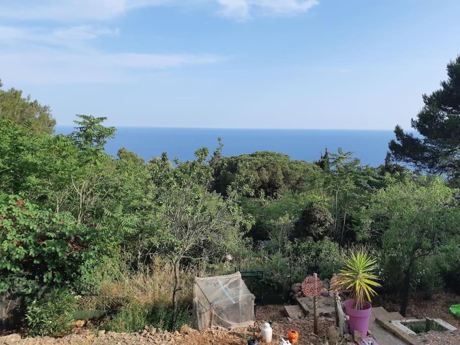 Haut De Villa Au Mont St Clair Vue Exceptionnelle Mer Et Foret Terrasses, Piscine, Petanque, Solarium Prives Сет Екстериор снимка
